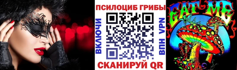 цена   Багратионовск  Псилоцибиновые грибы Psilocybe 